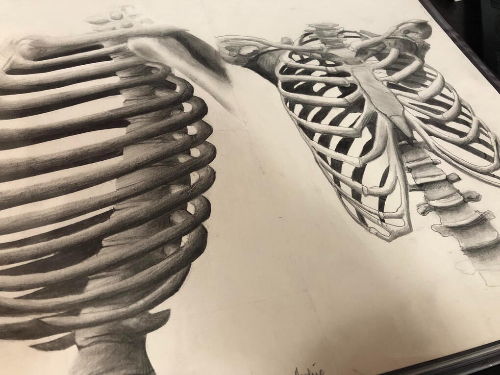 Learning to Draw Learning to draw is one of the most challenging things you will accomplish, but those who do persist with it, find great joy within.