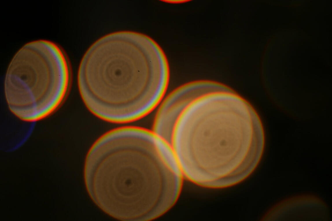 Fundamentals of photography Step 3. Adding more or the size of the lens when you take pictures affects how the image will result.
